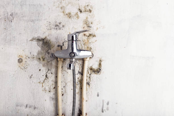 Best Insurance-Related Mold Remediation in North Richland Hills, TX