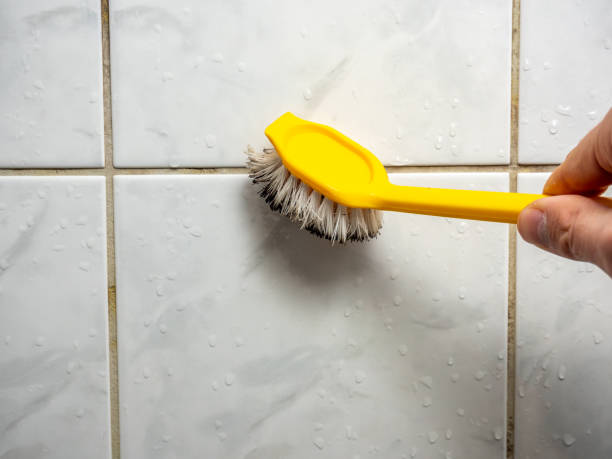 Best Preventive Mold Services in North Richland Hills, TX