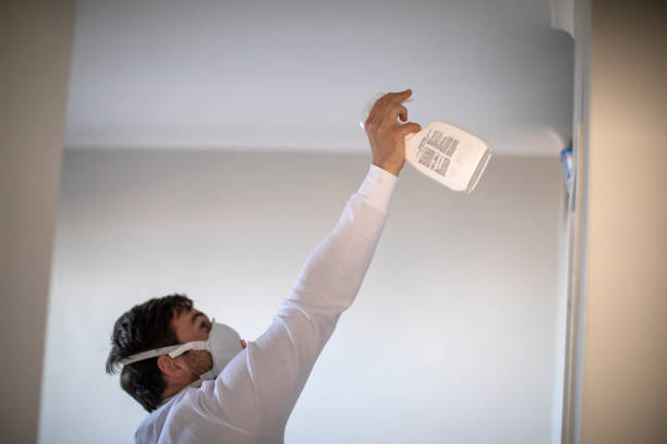 Best Residential Mold Remediation in North Richland Hills, TX