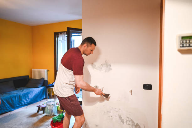 Best DIY Mold Remediation Support Services in North Richland Hills, TX